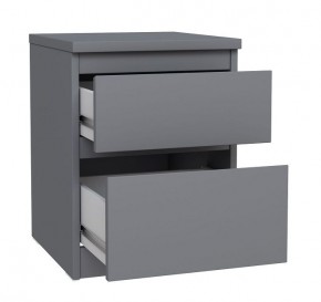 2.03.03.050.4 КАСТОР тумба 2 ящика RU серая в Кунгуре - kungur.ok-mebel.com | фото 2