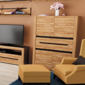 АФИНА А16а Шкаф МЦН Крафт в Кунгуре - kungur.ok-mebel.com | фото 2
