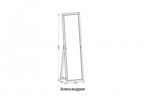 АЛЕКСАНДРИЯ-9.1 Зеркало напольное в Кунгуре - kungur.ok-mebel.com | фото 2