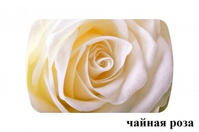 БОСТОН - 3 Стол раздвижной 1100/1420 опоры Брифинг в Кунгуре - kungur.ok-mebel.com | фото 46