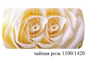 БОСТОН - 3 Стол раздвижной 1100/1420 опоры Брифинг в Кунгуре - kungur.ok-mebel.com | фото 47