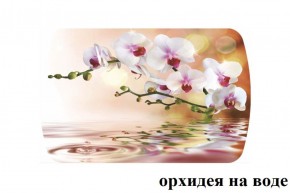 БОСТОН - 3 Стол раздвижной 1100/1420 опоры Брифинг в Кунгуре - kungur.ok-mebel.com | фото 65