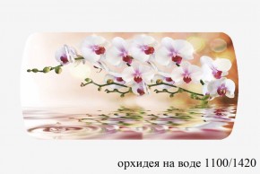 БОСТОН - 3 Стол раздвижной 1100/1420 опоры Брифинг в Кунгуре - kungur.ok-mebel.com | фото 66