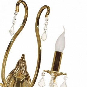 Бра Arti Lampadari Ercolano Ercolano E 2.1.2.602 G в Кунгуре - kungur.ok-mebel.com | фото 8