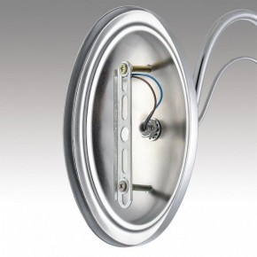 Бра Lumion INCANTO 8034/1W в Кунгуре - kungur.ok-mebel.com | фото 7