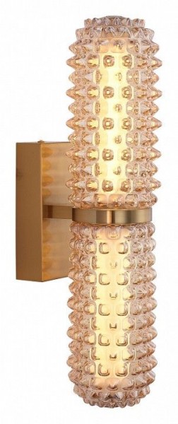 Бра ST-Luce SAGUARO SL6144.301.01 в Кунгуре - kungur.ok-mebel.com | фото 2