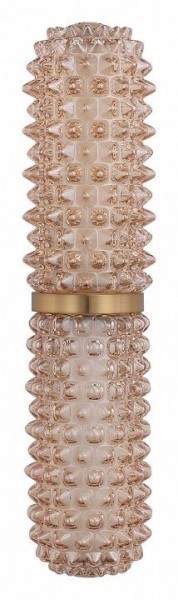 Бра ST-Luce SAGUARO SL6144.301.01 в Кунгуре - kungur.ok-mebel.com | фото 4