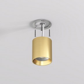 DK2610-SB Накладной светильник SHINE TUBE со светодиодом, D70*H80, IP20, 3000К, 10W, RA?90, сатинированная латунь, алюминий в Кунгуре - kungur.ok-mebel.com | фото 3