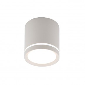 DK4013-WH Светильник накладной IP 20, 5 Вт, LED 4000, белый, алюминий/акрил в Кунгуре - kungur.ok-mebel.com | фото