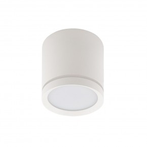 DK4013-WH Светильник накладной IP 20, 5 Вт, LED 4000, белый, алюминий/акрил в Кунгуре - kungur.ok-mebel.com | фото 2