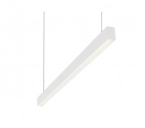DK9124-WH Линейный светильник 30W 1250mm 4000K, белый в Кунгуре - kungur.ok-mebel.com | фото