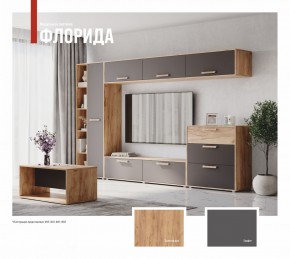 ФЛОРИДА Гостиная (модульная) дуб золотой/графит в Кунгуре - kungur.ok-mebel.com | фото