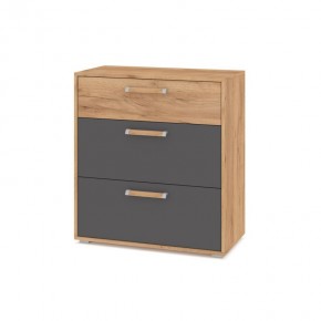 ФЛОРИДА Гостиная (модульная) дуб золотой/графит в Кунгуре - kungur.ok-mebel.com | фото 8