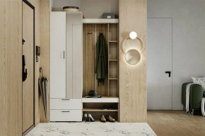 Гарнитур для прихожей Торонто в Кунгуре - kungur.ok-mebel.com | фото 5
