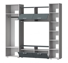 Гостиная Эмми (Анкор светлый/Графит) в Кунгуре - kungur.ok-mebel.com | фото 3