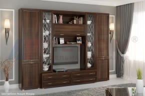 Гостиная Карина Композиция 19 (Акация Молдау) в Кунгуре - kungur.ok-mebel.com | фото 5
