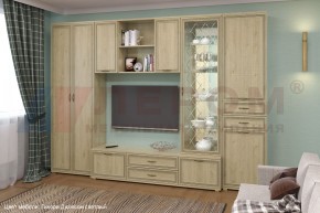 Гостиная Карина Композиция 21 (Гикори Джексон светлый) в Кунгуре - kungur.ok-mebel.com | фото 6