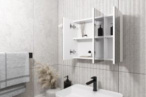 Кларити Шкаф зеркальный 16.312.08 в Кунгуре - kungur.ok-mebel.com | фото 2