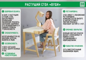 Комплект растущий стол и стул 38 попугаев «Вуди» (Серый, Без покрытия) в Кунгуре - kungur.ok-mebel.com | фото 3