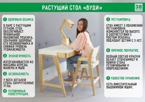 Комплект растущий стол и стул с чехлом 38 попугаев «Вуди» (Серый, Береза, Монстры) в Кунгуре - kungur.ok-mebel.com | фото 3