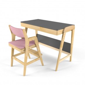 Комплект растущий стол и стул с чехлом 38 попугаев «Вуди» (Серый, Береза, Розовый) в Кунгуре - kungur.ok-mebel.com | фото 1