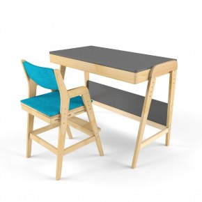 Комплект растущий стол и стул с чехлом 38 попугаев «Вуди» (Серый, Без покрытия, Лазурь) в Кунгуре - kungur.ok-mebel.com | фото