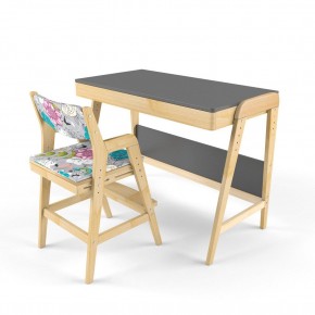 Комплект растущий стол и стул с чехлом 38 попугаев «Вуди» (Серый, Без покрытия, Мечта) в Кунгуре - kungur.ok-mebel.com | фото 1