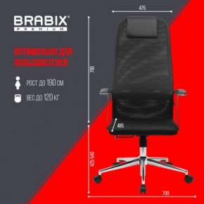 Кресло BRABIX PREMIUM "Ultimate EX-801" хром, плотная двойная сетка Х2, черное, 532917 в Кунгуре - kungur.ok-mebel.com | фото 7