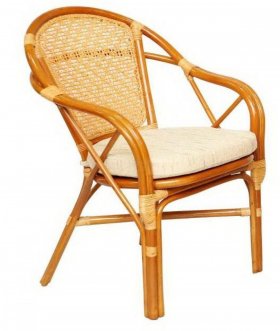 Кресло из ротанга Петани в Кунгуре - kungur.ok-mebel.com | фото 1
