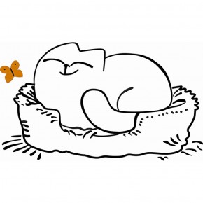 Кровать двухуровневая Кот № 900.1 ЛЕВАЯ (туя светлая/белый) в Кунгуре - kungur.ok-mebel.com | фото 2