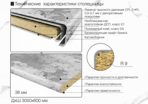 Кухонный фартук со столешницей (А-011) в едином стиле (3050 мм) в Кунгуре - kungur.ok-mebel.com | фото 6