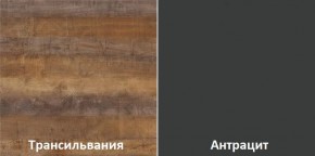Кухонный гарнитур угловой Трансильвания 2600х1600 мм (Стол. 38 мм) в Кунгуре - kungur.ok-mebel.com | фото 3