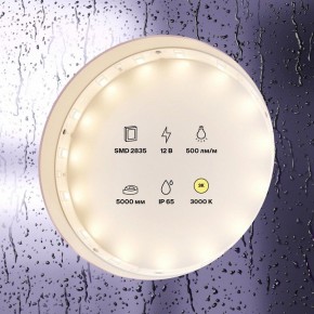 Лента светодиодная Maytoni Led strip 10105 в Кунгуре - kungur.ok-mebel.com | фото 2