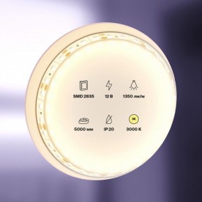 Лента светодиодная Maytoni Led strip 10114 в Кунгуре - kungur.ok-mebel.com | фото 2