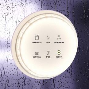 Лента светодиодная Maytoni Led strip 10118 в Кунгуре - kungur.ok-mebel.com | фото 2