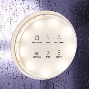 Лента светодиодная Maytoni Led strip 10124 в Кунгуре - kungur.ok-mebel.com | фото 3