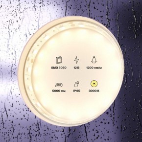 Лента светодиодная Maytoni Led strip 10131 в Кунгуре - kungur.ok-mebel.com | фото 2