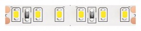Лента светодиодная Maytoni Led strip 10144 в Кунгуре - kungur.ok-mebel.com | фото