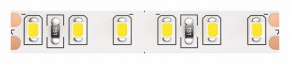 Лента светодиодная Maytoni Led strip 10150 в Кунгуре - kungur.ok-mebel.com | фото