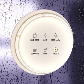 Лента светодиодная Maytoni Led strip 10152 в Кунгуре - kungur.ok-mebel.com | фото 2