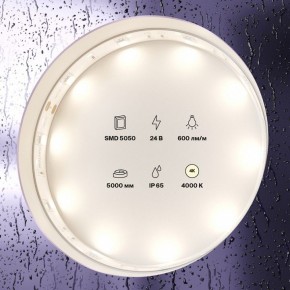 Лента светодиодная Maytoni Led strip 10164 в Кунгуре - kungur.ok-mebel.com | фото 2