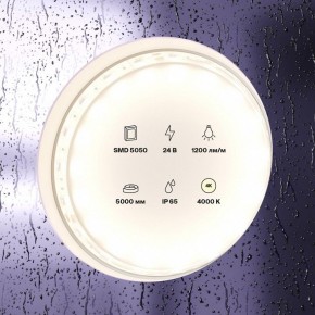 Лента светодиодная Maytoni Led strip 10172 в Кунгуре - kungur.ok-mebel.com | фото 2