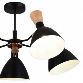 Люстра на штанге EVOLUCE VISTA SLE1256-402-05 в Кунгуре - kungur.ok-mebel.com | фото 10