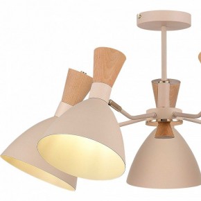 Люстра на штанге EVOLUCE VISTA SLE1256-502-05 в Кунгуре - kungur.ok-mebel.com | фото 10