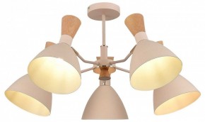 Люстра на штанге EVOLUCE VISTA SLE1256-502-05 в Кунгуре - kungur.ok-mebel.com | фото 6