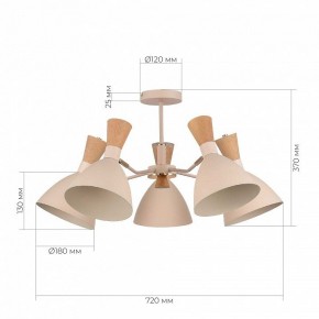 Люстра на штанге EVOLUCE VISTA SLE1256-502-05 в Кунгуре - kungur.ok-mebel.com | фото 8