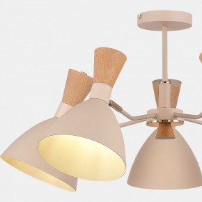 Люстра на штанге EVOLUCE VISTA SLE1256-502-05 в Кунгуре - kungur.ok-mebel.com | фото 9