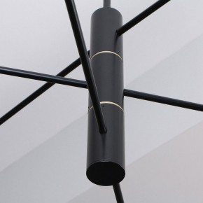 Люстра на штанге Favourite Imma 4375-6P в Кунгуре - kungur.ok-mebel.com | фото 2