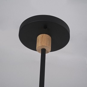 Люстра на штанге Imperiumloft TURNA Black TURNA-DBL01 в Кунгуре - kungur.ok-mebel.com | фото 9