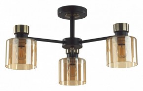 Люстра на штанге Lumion ARLIN 5643/3C в Кунгуре - kungur.ok-mebel.com | фото